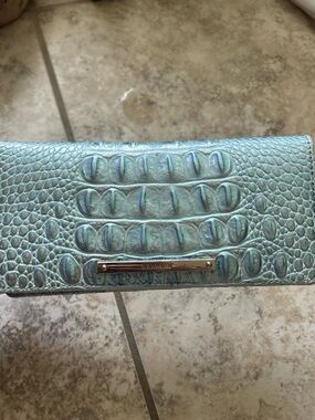 Brahmin Wonderland Ady Blue Rare